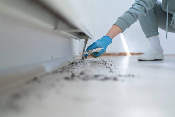 Best Pest Control Near Me in Siena College, NY